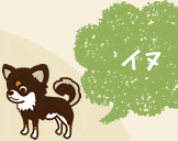 チワワ