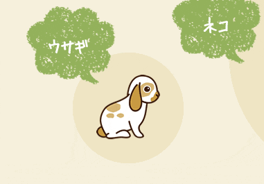 ウサギ