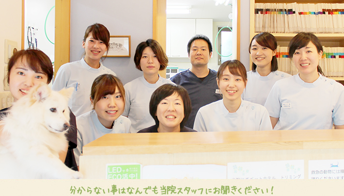 分からない事はなんでも当院スタッフにお聞きください!
