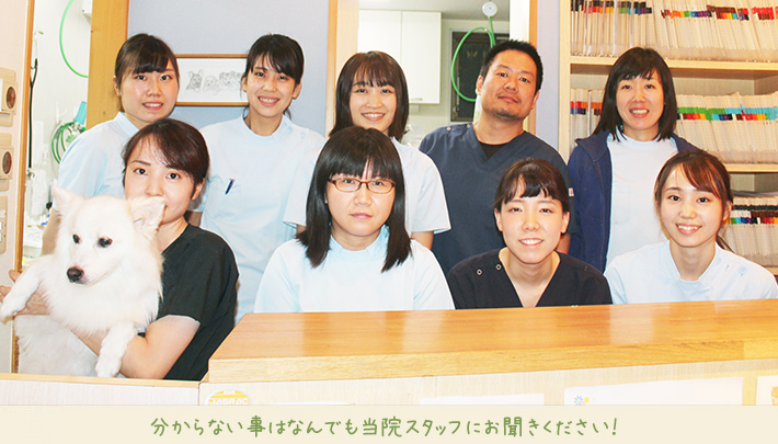 分からない事はなんでも当院スタッフにお聞きください!