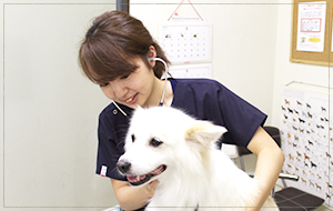 獣医師 白戸 麻理奈